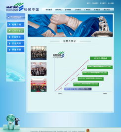 廣州與深圳網站建設成功案例 選擇18年老牌萬戶網絡，打造專業精品網站